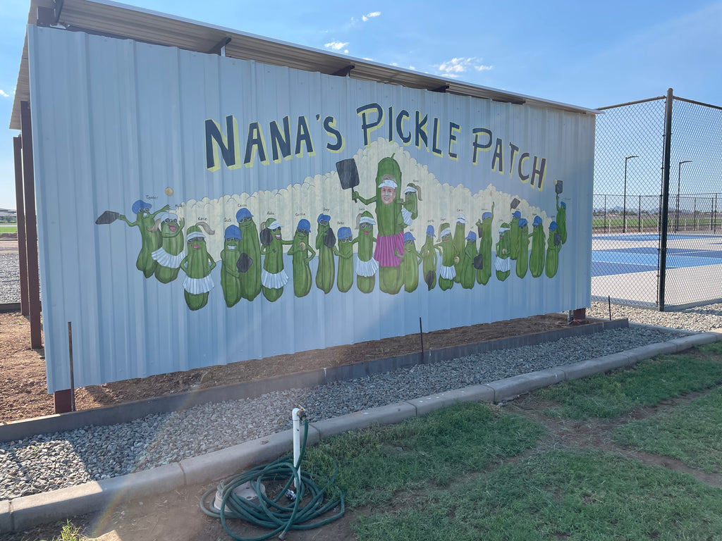 Pickle Ball Mural in Gilbert, Arizona